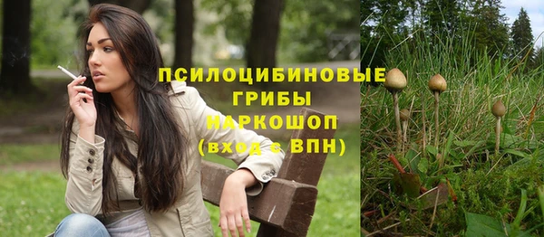 амф Белоозёрский