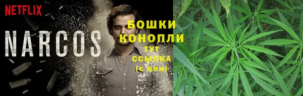 гашишное масло Белокуриха