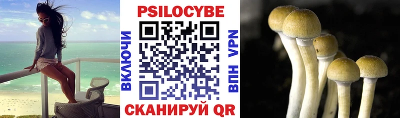 нарко площадка наркотические препараты  продажа наркотиков  Озёрск  Псилоцибиновые грибы ЛСД 